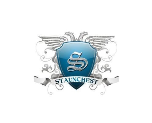 Design Portfolio Staunchest 495x400 - Design Portfolio