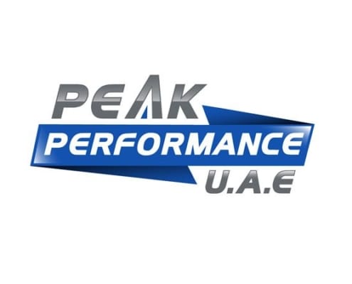 Design Portfolio Peak Performance Logo 495x400 - Design Portfolio